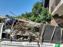 Best Recycling Services for Junk  in South Park, WY